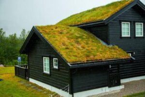 what color to paint house with green roof